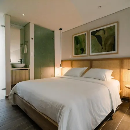 Loft Premium En El Centro Historico - Piscina *